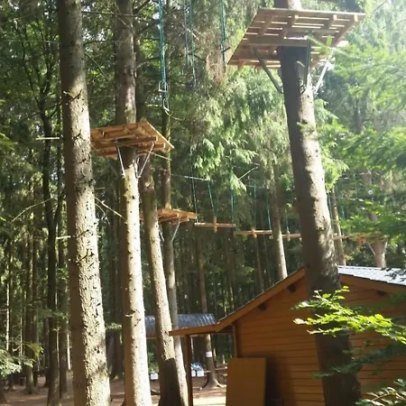 In Boergerwald Mit Sauna By Interhome * Surwold