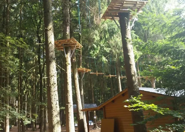 In Boergerwald Mit Sauna By Interhome * Surwold